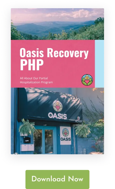 Cover for Oasis Recovery PHP eBook with a download button