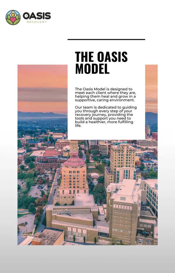 Oasis Model eBook cover