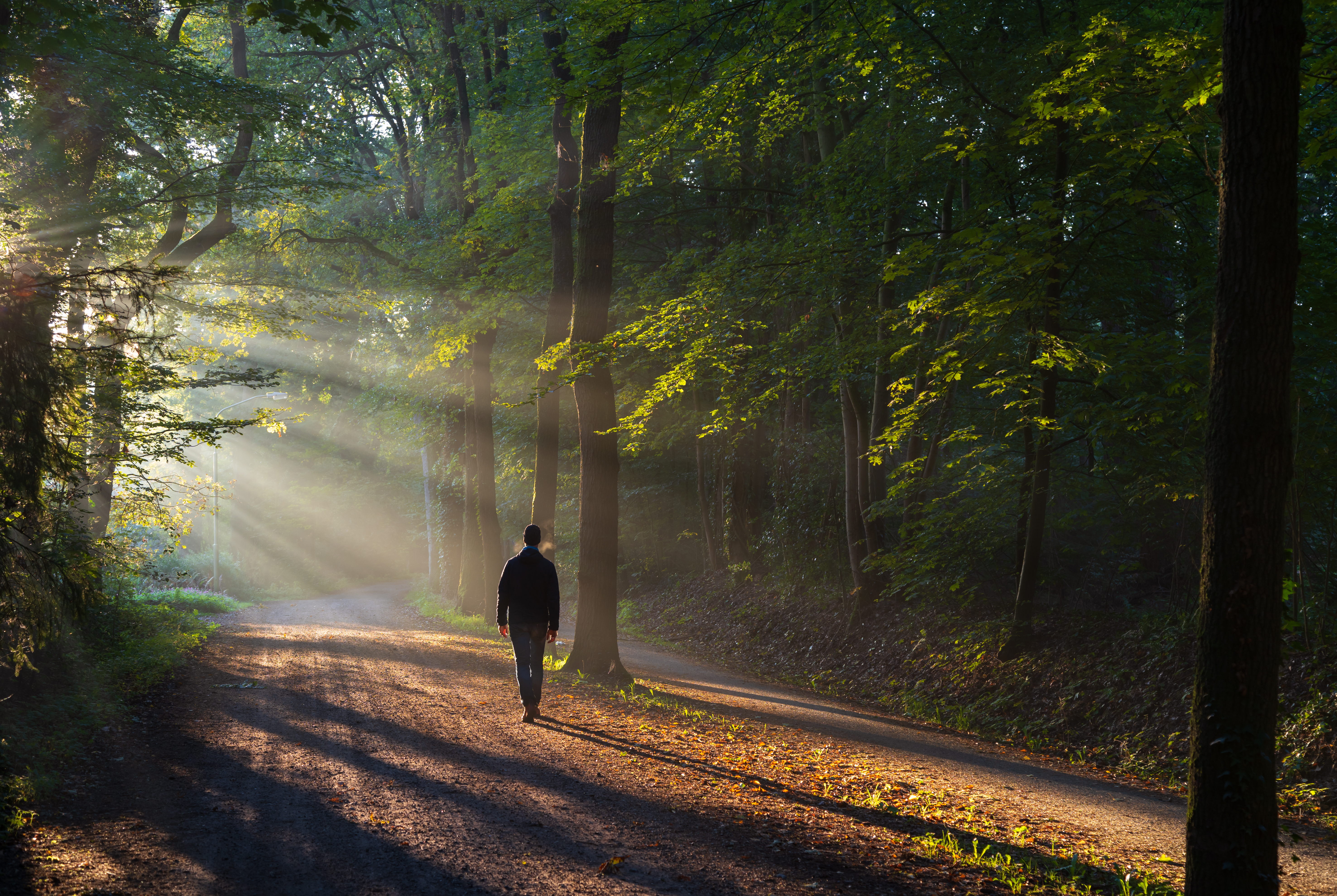 man walking in nature 